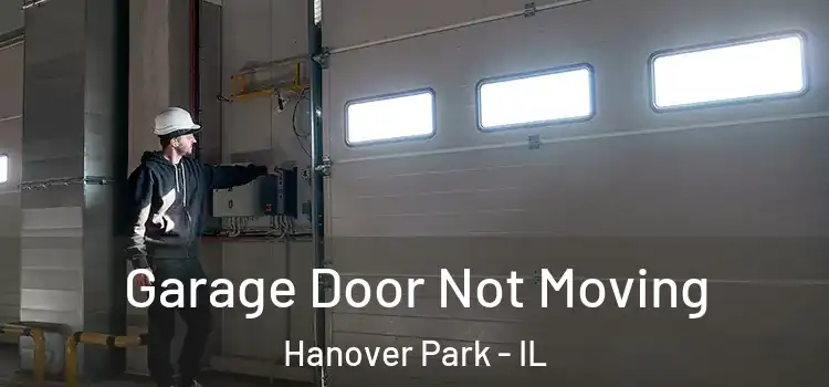  Garage Door Not Moving Hanover Park - IL