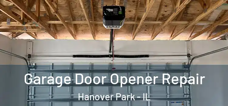  Garage Door Opener Repair Hanover Park - IL