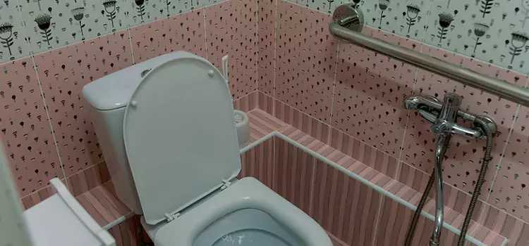 Meeting Diverse Needs With Accessible Restroom Solutions in Hanover Park, IL